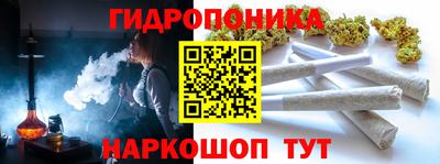 прущие грибы Гагарин