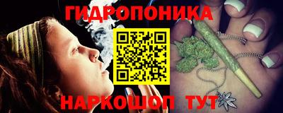 прущие грибы Гагарин