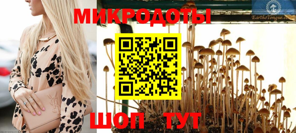 купить наркоту  Галлюциногенные грибы Magic Shrooms  Вход с VPN  Новосибирск 