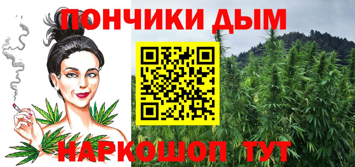 Бошки Шишки марихуана  Вход с VPN  Канабис планчик  Новосибирск 